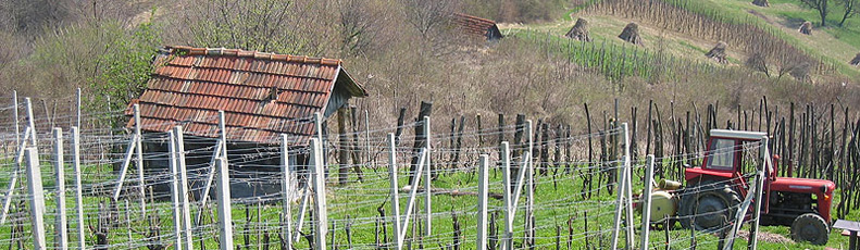 bciklisticka-staza-bedenica
